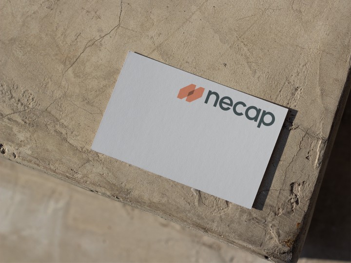Necap - Brand identity design