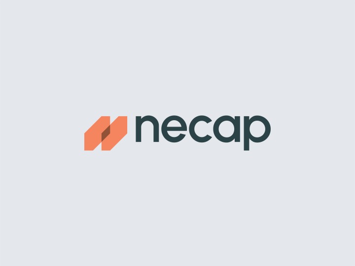 Necap - Brand identity design