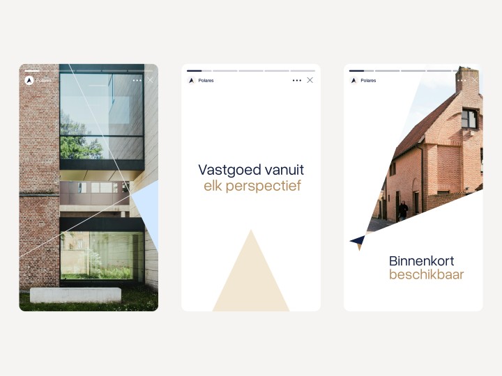 Polares - Brand identity design & digital platform