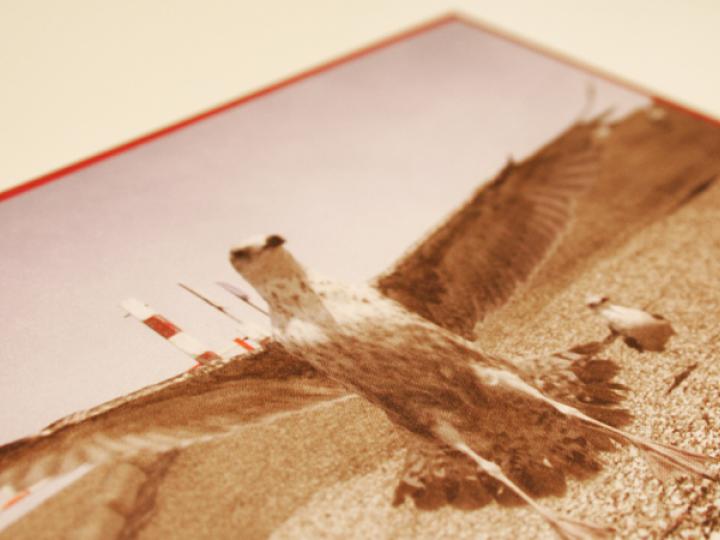 Anne De Graaf - Brand Design
