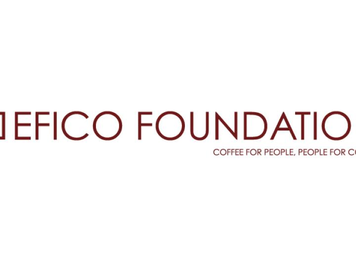 EFICO - Brand Design